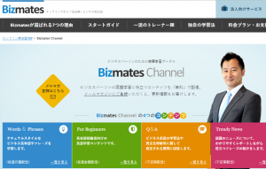 bizmatez