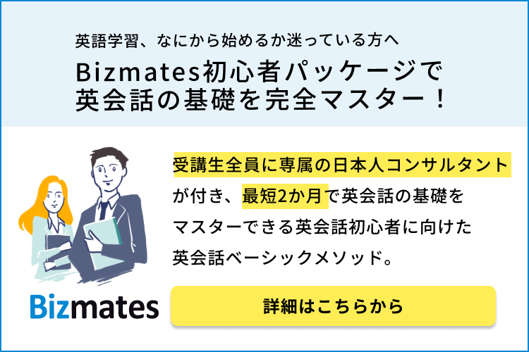 Bizmates初心者パッケージ